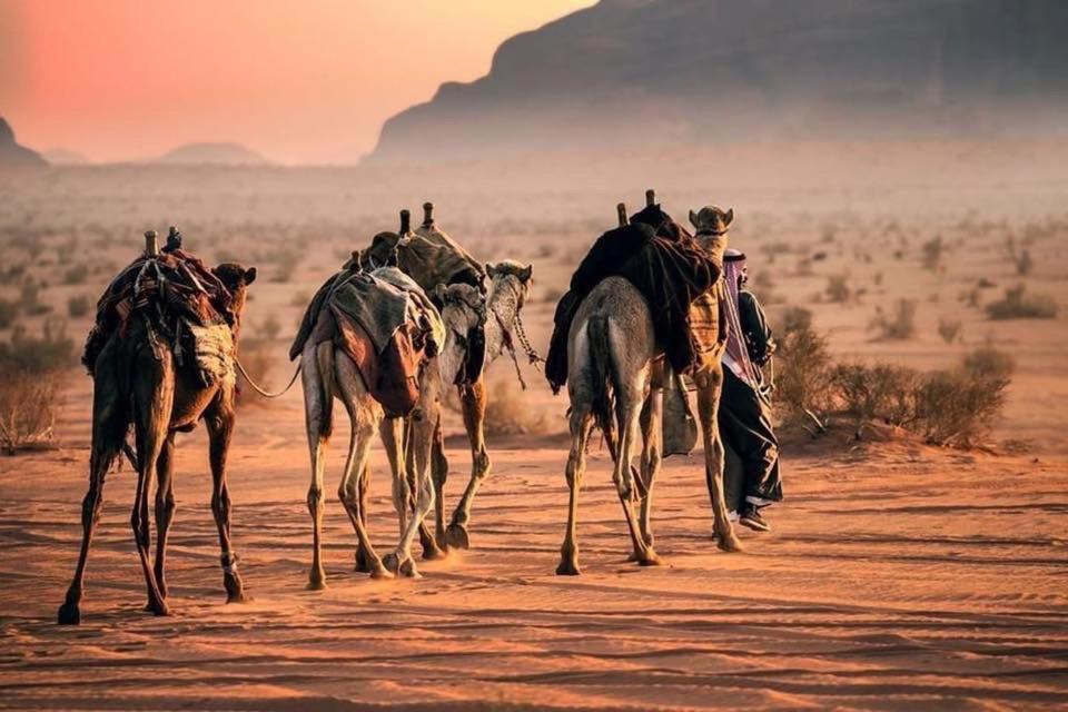 Tamim Luxury Wadi Rum Camp Exterior foto